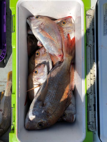 フィッシング キッタカ 釣果