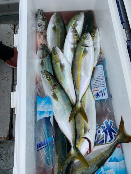 みやけ丸 釣果