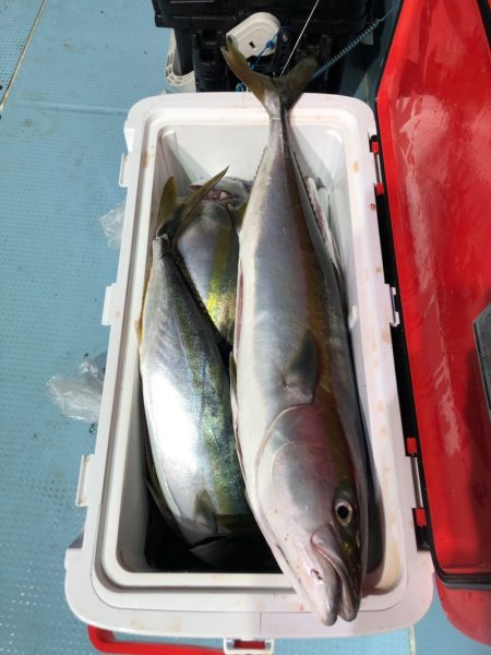 第二八坂丸 釣果