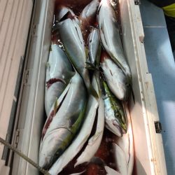 第二八坂丸 釣果