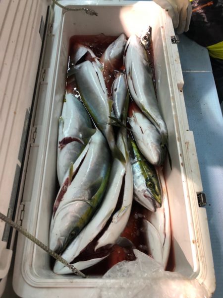 第二八坂丸 釣果