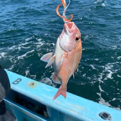 みやけ丸 釣果