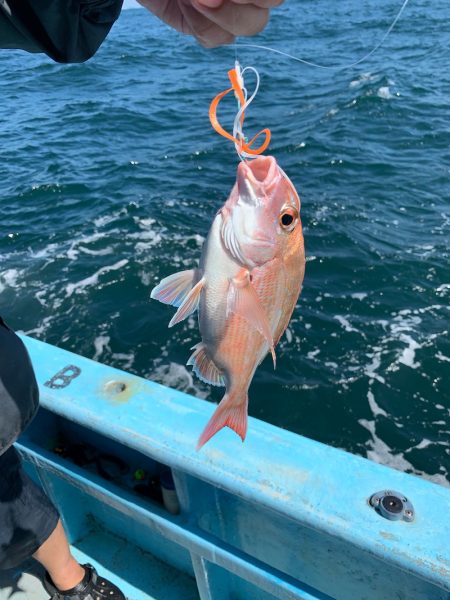 みやけ丸 釣果