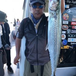 ビッグファイター 釣果