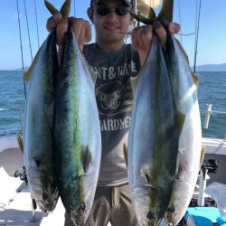 ビッグファイター 釣果