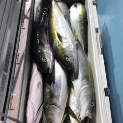 第二八坂丸 釣果