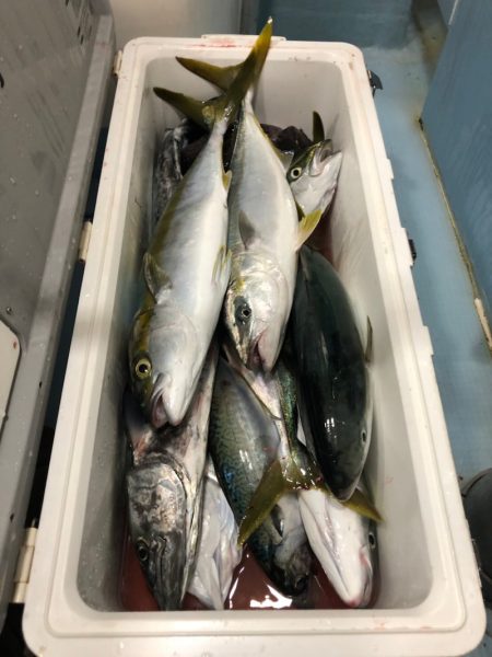 第二八坂丸 釣果