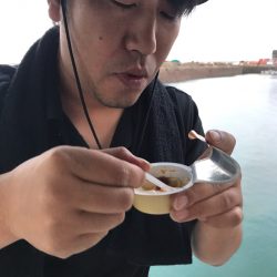 遊漁船メテオ 釣果