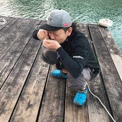 遊漁船メテオ 釣果