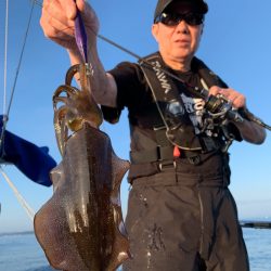 エヌスタイル 釣果