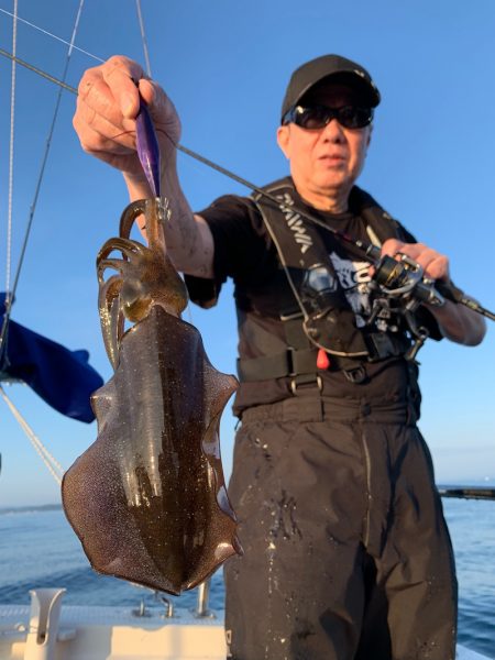 エヌスタイル 釣果