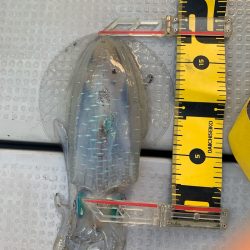 エヌスタイル 釣果