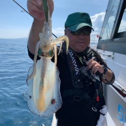 エヌスタイル 釣果