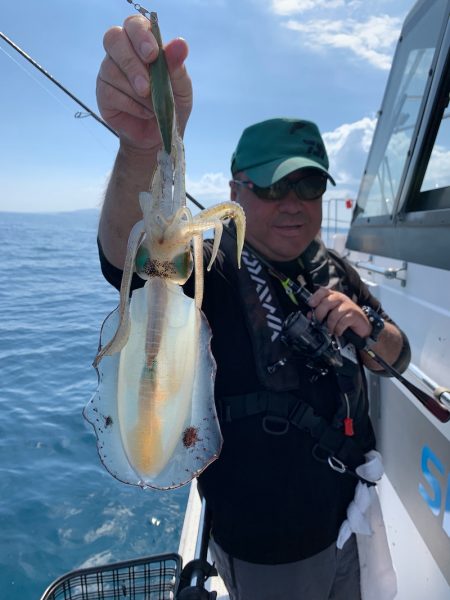 エヌスタイル 釣果