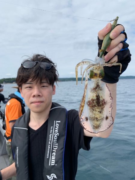 エヌスタイル 釣果