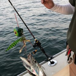 末広丸(熊本) 釣果