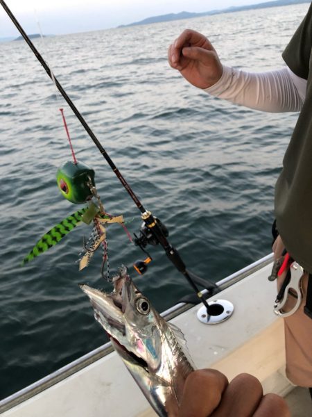 末広丸(熊本) 釣果