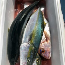 第二八坂丸 釣果