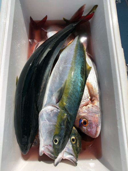 第二八坂丸 釣果