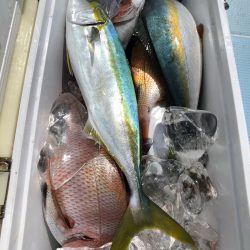 第二八坂丸 釣果