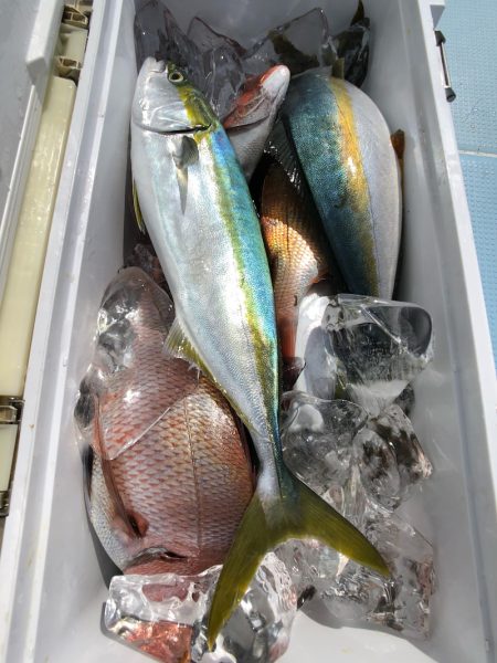 第二八坂丸 釣果