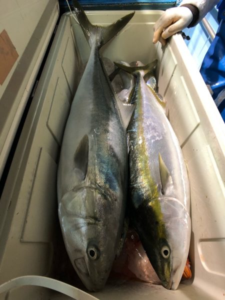 第二八坂丸 釣果