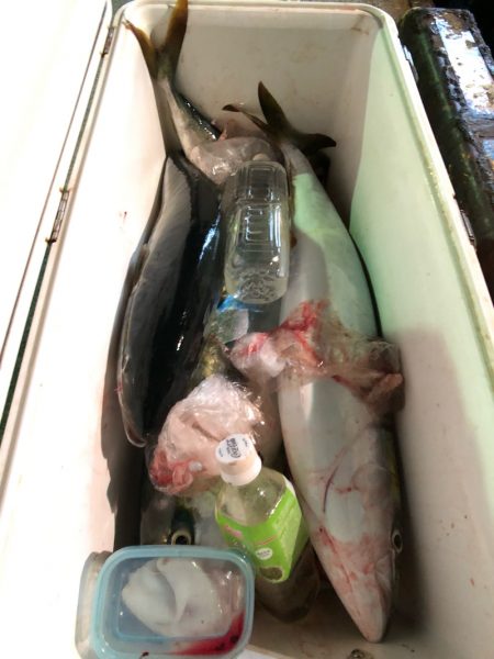 第二八坂丸 釣果