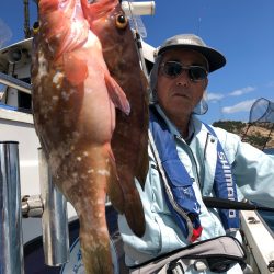 フィッシング キッタカ 釣果