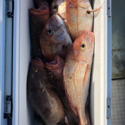 フィッシング キッタカ 釣果