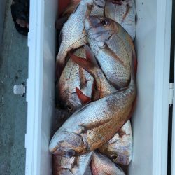 フィッシング キッタカ 釣果