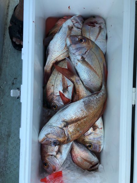 フィッシング キッタカ 釣果