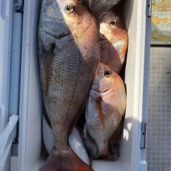 フィッシング キッタカ 釣果