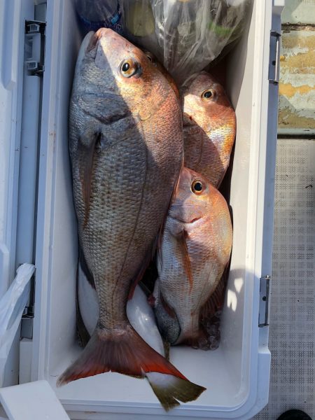 フィッシング キッタカ 釣果