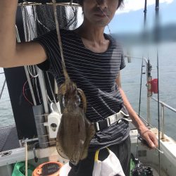 遊漁船メテオ 釣果