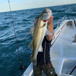 ランスルー 釣果