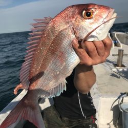 ランスルー 釣果