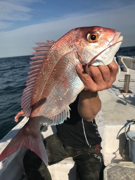 ランスルー 釣果