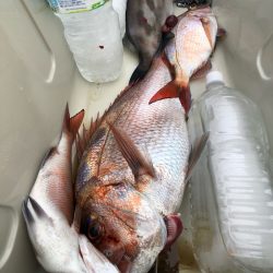 第二八坂丸 釣果