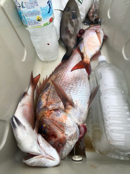 第二八坂丸 釣果