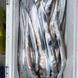 フィッシング キッタカ 釣果