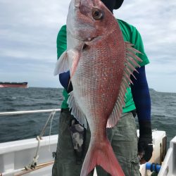 ランスルー 釣果