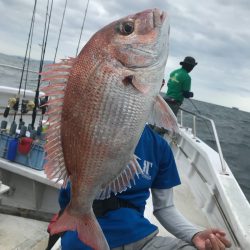 ランスルー 釣果