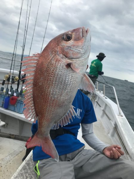 ランスルー 釣果