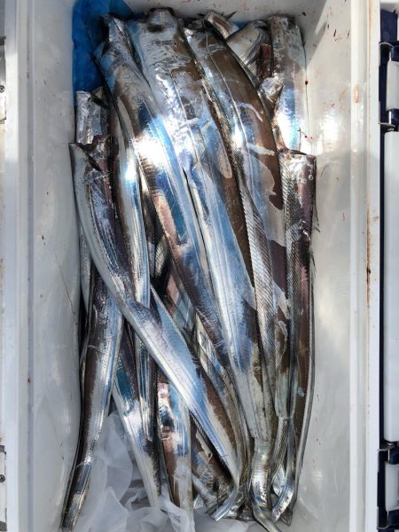 フィッシング キッタカ 釣果