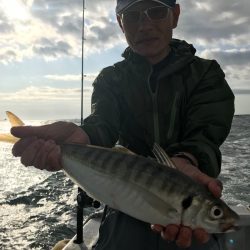 ランスルー 釣果