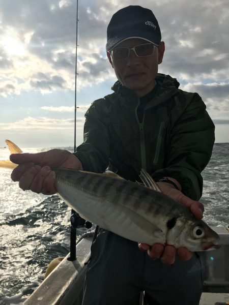 ランスルー 釣果