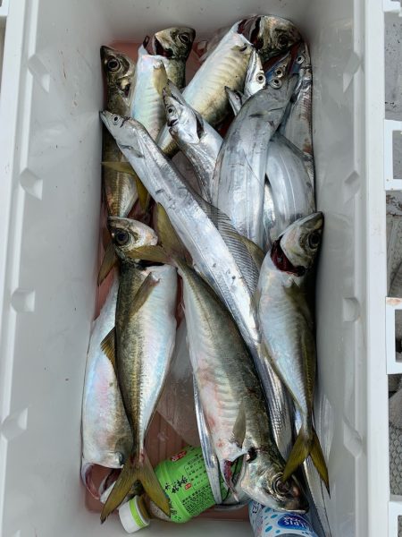 ランスルー 釣果