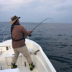 「LaGooN」蒼陽丸 日和号 釣果