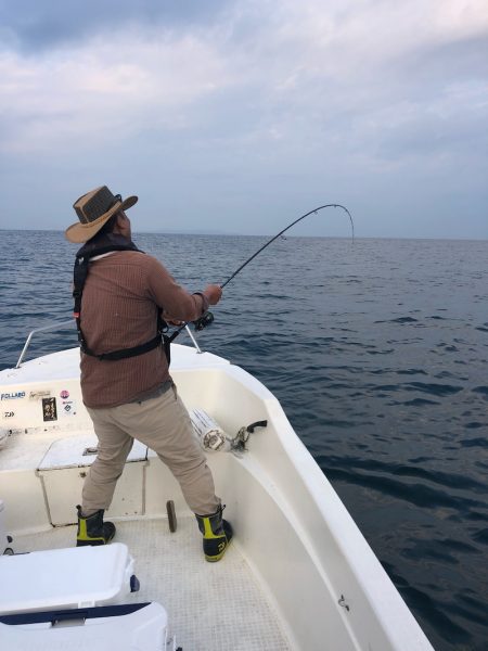 「LaGooN」蒼陽丸 日和号 釣果