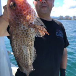 龍神丸(鹿児島) 釣果
